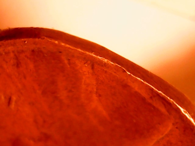 1915-Wheat-Penny,-Multiple-Clips-All-Around-?-To-Many-Photos-To-Share.